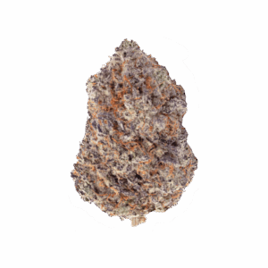 import placeholder for 1196