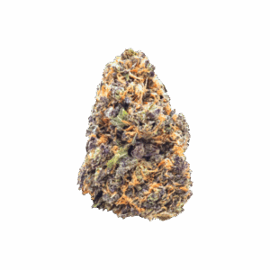 import placeholder for 1165