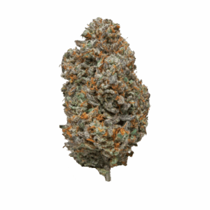 import placeholder for 1188