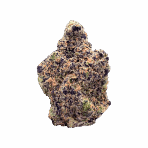 import placeholder for 1180