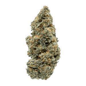 import placeholder for 1164