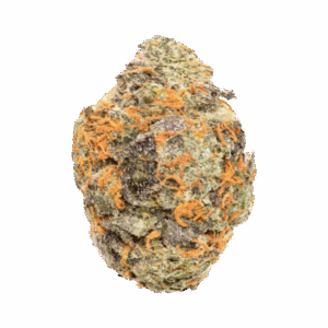 import placeholder for 1169