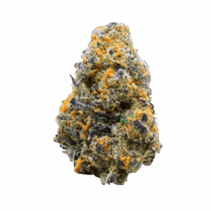 import placeholder for 1157