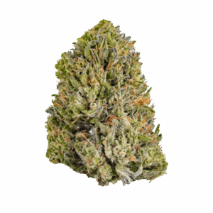 import placeholder for 1176