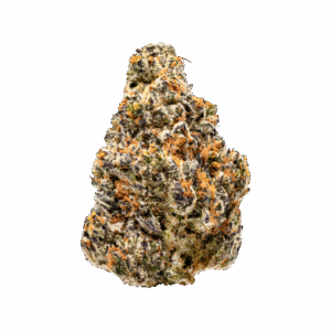 import placeholder for 1178