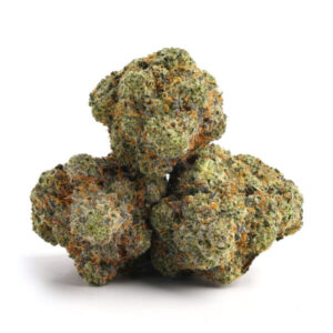 import placeholder for 1207