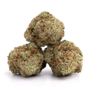 import placeholder for 1223