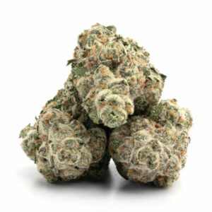 import placeholder for 1219