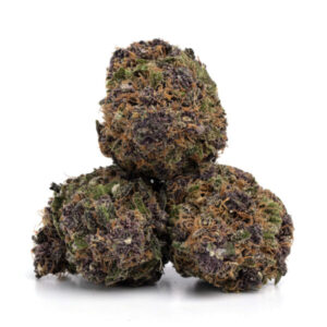 import placeholder for 1212