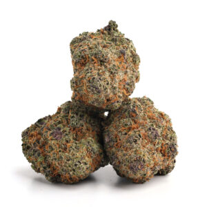 import placeholder for 1203