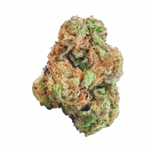 import placeholder for 1182