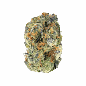 import placeholder for 1172